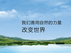 環?？萍季W站制作案例 沙漠風網站建設公司