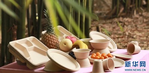 七十二變，竹產業拔節向上——環?？萍假x能傳統產業煥新