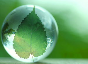 十三五環?？萍键c將專項 推動行業實現全方位跨越